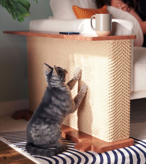 This is more than just a scratching post. Read on to find out how the Cat-e-Corner is redefining cat furniture. Natural Wood Cat Tree Diy, Cat Tree Corner Wall, Cat Aesthetic Furniture, Cat Scratcher For Couch, Cat Scratcher Couch Corner, Cat Scratcher Side Table, Cats Living Room, Cat Shelves Bedroom, Home Decor For Cats