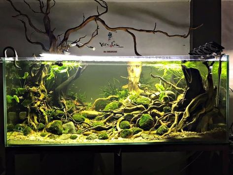 River Paludarium, House Baseboards, Aquarium Layout, Aquarium Design Ideas, Terraria House Design, Fish Room, Biotope Aquarium, Rimless Aquarium, Fish Aquarium Decorations