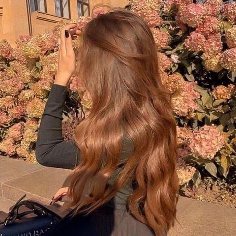 Cinnamon Brown Hair, Light Auburn Hair, Amber Hair, Cinnamon Hair, Chestnut Hair Color, Honey Brown Hair, Brown Hair Looks, Brown Hair Inspo, Ginger Hair Color