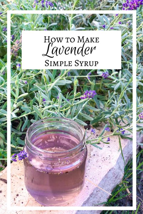 Lavender Simple Syrup Lavender Simple Syrup, Culinary Lavender, Royal Tea, Lavender Buds, House Smell, Simple Syrup, Cakes And More, Layer Cake, Shower Gel