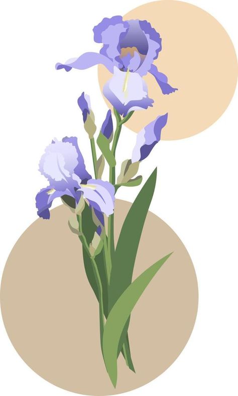 Vector illustration of blue iris flowers bouquet with leaves and stems. Isolated on white background Iris Flowers Bouquet, Iris Illustration, Iris Wallpaper, Flowers In Acrylic, Blue Iris Flowers, Paint Blue, Diy School, Blue Iris, Iris Flower