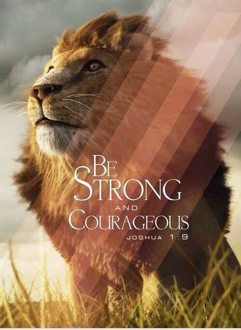 Joshua 1:9 Favorite Verses, Favorite Scriptures, Ayat Alkitab, Be Strong And Courageous, Lion Of Judah, Biblical Quotes, A Lion, Be Strong, Spiritual Inspiration