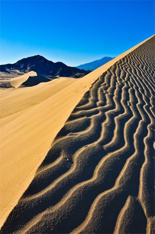 Contrast in Photography by Joaquin Duenas. Photo: "Morning Contrast" captured by Keith Burnett. Contrast In Photography, Contrast In Design, Natural Fractals, High Contrast Photography, Sand Mountain, Contrast Photography, Contrast Art, Desert Beauty, Girls Fashion Tops