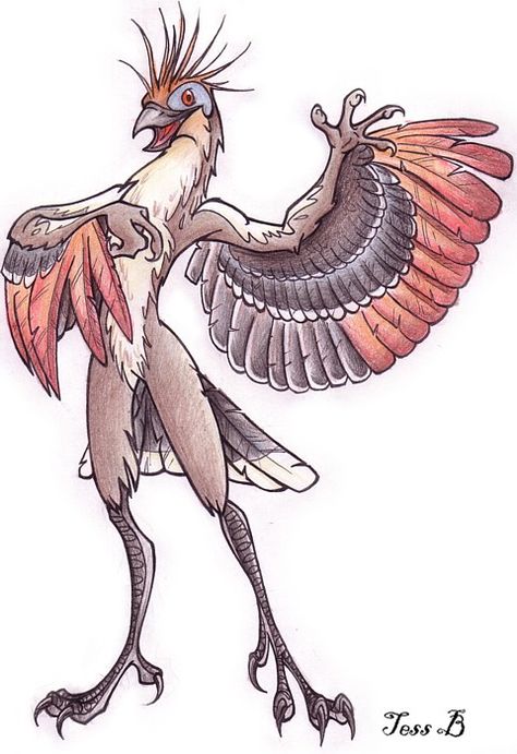 my hoatzin anthro by f0xyme Clawed Hands, People To Draw, Weird Birds, Human Character, Bird People, My Character, The Rainforest, D&d Dungeons And Dragons, Fantasy Monster