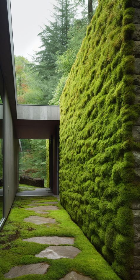 A tranquil outdoor space featuring a vibrant green moss wall, combining the captivating appeal of nature with modern design elements for a refreshing retreat. Moss Wall House Exterior, Moss Cement Wall, Vertical Moss Wall, Moss Wall Outdoor, Moss Installation, Living Walls Outdoor, Moss Concrete, Moss Architecture, Living Moss Wall