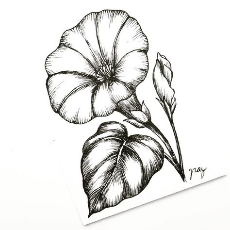 Akbaly on Instagram: “.: Morning Glory :. . First video of the year! I just had to start my year with this beautiful wild flower that brings me so many memories…” Morning Glory Tattoo Stencil, Morning Glory Flower Tattoo Design, Morning Glory Flowers Drawing, Morning Glory Drawing, Morning Glory Flowers Tattoo, Morning Glory Flower Tattoo, Charlotte Tattoo, Personal Tattoos, Morning Glory Tattoo