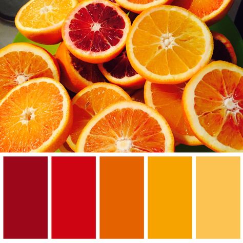 Colours Mellow Colors, Yellow Palette, Salon Suites Decor, Color Design Inspiration, Color Mixing Chart, Jaune Orange, Color Palette Yellow, Red Colour Palette, Color Chip