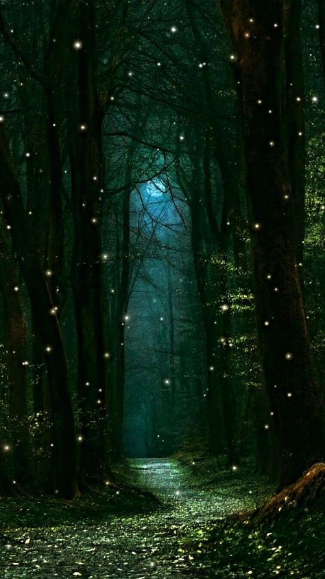 Faerie Forest Aesthetic, Night Time Forest Aesthetic, Twilight Domain Cleric Aesthetic, Mystic Forest Aesthetic, Anime Forest Aesthetic, Art About Dreams, Fairy Magic Mystical Forest, Mystical Forest Painting, Fantasy Forest Wallpaper