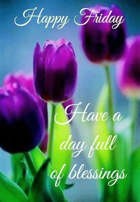 Monday Morning Greetings, Friday Gif, Friday Inspirational Quotes, Friday Morning Quotes, Friday Messages, Friday Wishes, Hugs And Kisses Quotes, Good Afternoon Quotes, Good Morning My Friend