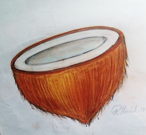 Coconut drawing using pastel color on paper Coconut Drawing, Oil Pastel Techniques, Vegetable Drawing, Poster Color Painting, Easy Art For Kids, Basic Painting, Drawing Lessons For Kids, Fruits Drawing, Object Drawing