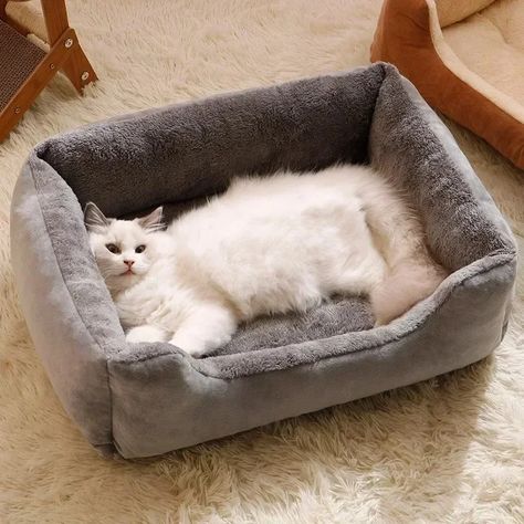 Bed for Cats Pet Products Cushions Kitten Goods Accessories Dog All Houses Supplies Things Accessory Kitten House, Niche Chat, Puppy Accessories, Dog Sofa Bed, Cat Bed Furniture, Bed Cushions, Dog Sofa, Dog Mat, Cat Pet Supplies