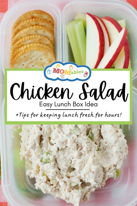 A bento box with chicken salad, apple slices, celery slices, and crackers of your choice 4 Compartment Lunch Ideas, Bariatric Meal Prep High Protein Lunch Ideas, On The Go Lunches No Heat, Chicken Salad Lunch Box Lunchbox Ideas, Healthy Lunch Box Ideas For Work, High School Meal Prep Lunch Ideas, High Protein Bento Box Lunch For Adults, Lunch For Nurses, Cold Lunch Meal Prep For The Week