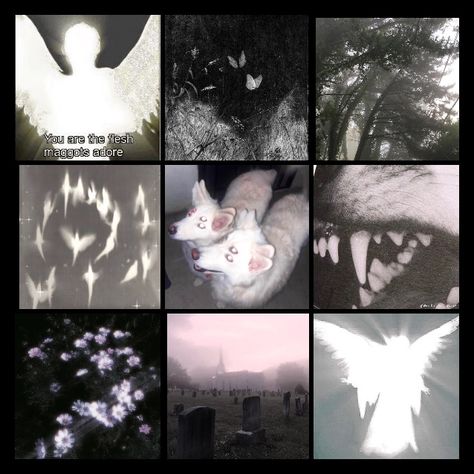 Casscore Aesthetic, Emo Aesthetic Moodboard, Solemn Aesthetic, Different Cores And Aesthetics, Aesthetic Character Moodboard, Con Artist Aesthetic, Aesthetic Character Board, Angel Moodboard Aesthetic, Witch Moodboard Aesthetic