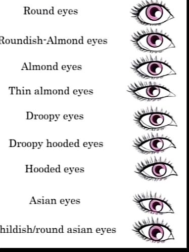 Eye Shape Chart Types Of, Eye Shape Chart Drawing, Types Of Eyes Shapes Men, Different Eye Shapes Reference, Different Eye Shapes Charts, Eyes Shapes Chart, What Eyes Do I Have, Eye Type Shape, Eye Type Chart