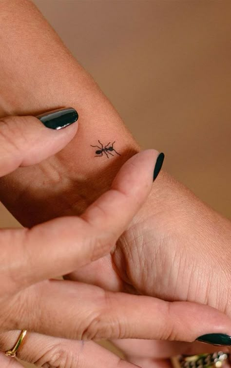 Simple Deep Meaning Tattoos, Deep Simple Tattoos, Tiny Ant Tattoo, Itsy Bitsy Spider Tattoo, Ant Tattoo Small Cute, Small Ant Tattoo, Tiny Insect Tattoo, Realistic Ladybug Tattoo, Ant Tattoo Cute