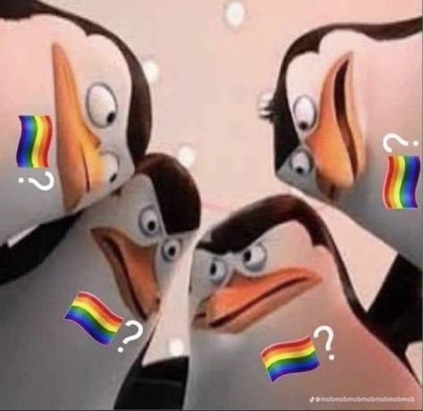 Pinguin Meme, Madagascar Meme, Penguin Meme, Reaction Photos, Gay Sticker, Penguins Of Madagascar, Reaction Memes, Gay Memes, Reaction Pics