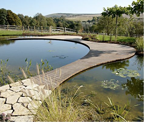 #landarch Ian Kitson won the Society of Garden Designers award for Medium Residential Garden with Follers Manor in Sussex, UK. Residential Garden, Bio Pool, Natural Swimming Ponds, Swimming Pool Decks, Pool Landscape Design, Swimming Pond, Pool Fountain, Natural Pond, Natural Swimming Pools