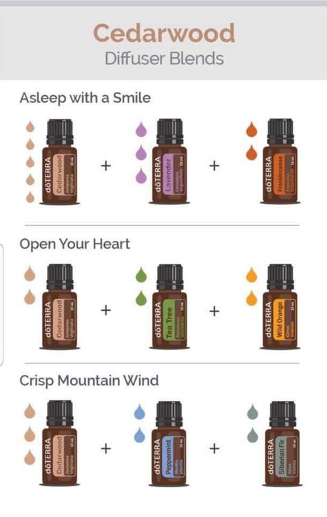 On Guard Diffuser Blend, Geranium Diffuser Blend, On Guard Essential Oil, Doterra Oils Recipes, Doterra Diffuser, Doterra Diffuser Blends, Doterra Essential Oils Recipes, Essential Oil Diffuser Blends Recipes, Essential Oils Guide