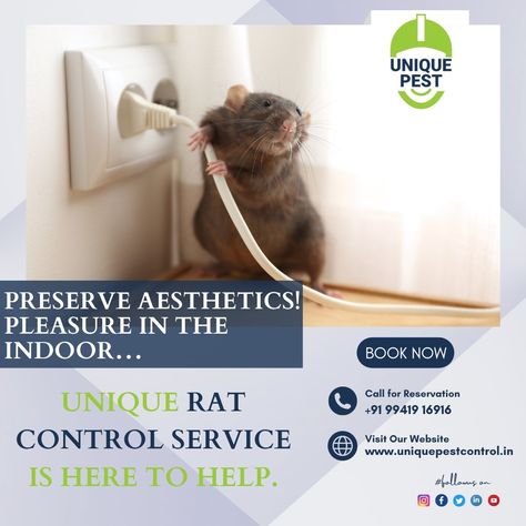 ⚡Promote health 📈 and safety for everyone to create a rat-free environment. Call Us Today 📞9941916916 for a Rat-Free Home!🚫🐭 to Protect Your Environment… #uniquepestmanagement #pestcontrolserviceforrat #pestcontrolratremoval #ratcontrolnearme #safehome #ratfreehome #ratpestcontrol Christian Background Images, Rat Control, Cockroach Control, Christian Backgrounds, Mattress Cleaning, Pest Management, Pest Control Services, Protecting Your Home, Rodents