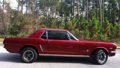 Mustang 66, 66 Ford Mustang, Ford Mustang 1964, 66 Mustang, 65 Mustang, Vintage Mustang, 1967 Mustang, Ford Mustang For Sale, 1966 Ford Mustang