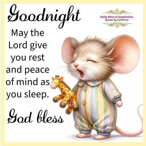 Goodnight everyone. May you have a restful sleep and sweet dreams. ♥️😴😴♥️     . #SweetDreams #RestfulSleep #NighttimeVibes #Dreamland #NightNight #CatchSomeZzzs #LightsOut #DailyDoseOfInspiration #QuotesByCatherine #BOOMchallenge Sleep Tight Good Night Greetings, Goodnight My Friend, Good Night My Dear Friend, Goodnight Friend, Goodnight Cute Images, Funny Goodnight Memes Hilarious, Goodnight Memes Funny, Nite Quotes, Good Night Meme Funny