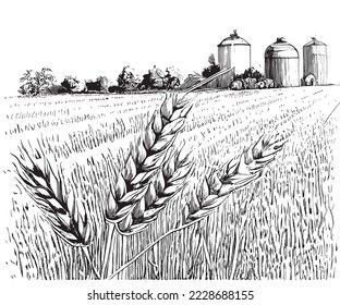 Farm wheat field landscape hand drawn sketch Vector illustration. Covered Wagon Drawing, Wheat Field Tattoo, Wheat Field Illustration, Farm Landscape Drawing, Wheat Field Drawing, Gene Tattoo, Wheat Drawing, Country Drawings, Field Drawing