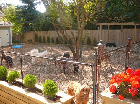 Pet Healthcare Insurance Backyard Dog Area, Dog Potty Area, Dog Friendly Backyard, Dog Backyard, Dog Toilet, Dog Yard, Dog Playground, Dog Potty, Dog Playpen