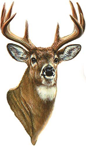 Deer Head Illustration, Painted Deer Head, Deer Head Painting, Buck Drawing, Deer Head Drawing, Buck Painting, Hunters Dream, Hunting Drawings, Whitetail Deer Pictures