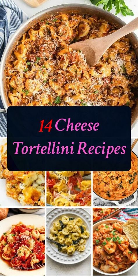 Get ready to indulge in creamy, cheesy goodness! Discover 14 mouthwatering cheese tortellini recipes that will melt your taste buds away. How To Make Cheese Tortellini, What To Make With Cheese Tortellini, Easy Chicken And Tortellini Recipes, Cheese Filled Tortellini Recipes, Easy Chicken Tortellini Recipes, Recipes Using Cheese Tortellini, Tortellini Dinner Ideas, Recipes With Cheese Tortellini, 5 Cheese Tortellini Recipes