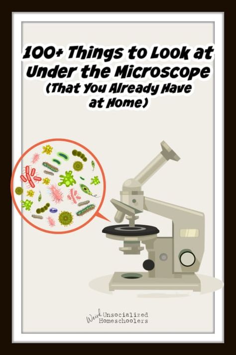 If you need to get your kids interested in the microscope, this list of 100+ things to look at under the microscope is full of things you already have at home! Microscope Activity, Microscope Lab, Random Hobbies, Children's House, Cell Parts, Child Plan, Vacuum Container, Microscope Kids, Under The Microscope