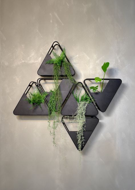 Black Wall Plants, Plant Industrial Design, Plant Hanging Wall, Biophilic Home Decor, Black And Wood Office, Diy Office Ideas, Modern Wall Design Ideas, Indoor Plants Wall Decor, Wall Hanging Plants Indoor