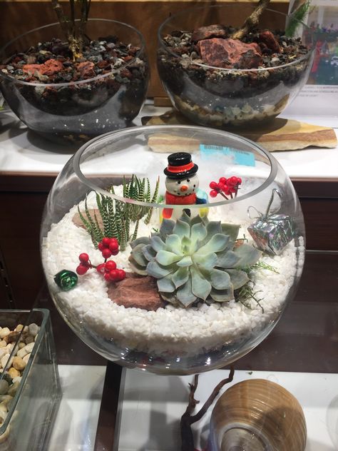 Holiday Succulent Gifts, Holiday Succulent Ideas, Christmas Succulents Gift, Christmas Terrariums Winter Scenes, Christmas Fish Bowl Ideas, Fish Bowl Christmas Ideas, Christmas Succulent Ideas, Winter Terrarium, Christmas Succulents