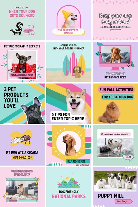 Dog Posts Instagram, Dog Instagram Post Ideas, Dog Business Ideas, Carousel Template, Pet Instagram, Dog Template, Dog Marketing, Pet Branding, Dog Brand