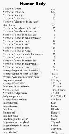 Basic Doctor Knowledge, Basics Of Biology, Science Basics Knowledge, Human Body Gk Questions, Best Way To Study Anatomy And Physiology, Medical Knowledge Tips, General Knowledge Science, Wallpaper For Neet Students, Science Knowledge Student