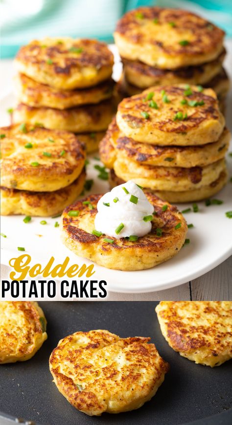 Fried Potato Cakes, Potato Meals, Potato Cake Recipe, Fried Mashed Potatoes, Potato Latke Recipe, Pan Fried Potatoes, Potato Cakes Recipe, Mashed Potato Cakes, A Spicy Perspective