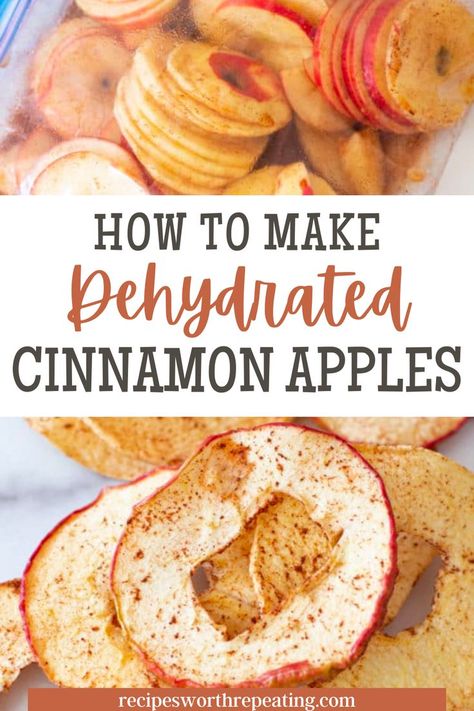 Dehydrated Cinnamon Apple Chips, Cinnamon Apple Chips Dehydrator, Apple Leather Recipe Dehydrator, Dehydrator Apples With Cinnamon, Dry Apples In Dehydrator, How To Make Apple Chips In Dehydrator, Freeze Dried Apples How To Make, Dried Apple Recipes Dehydrator, Dehydrator Recipes Potato