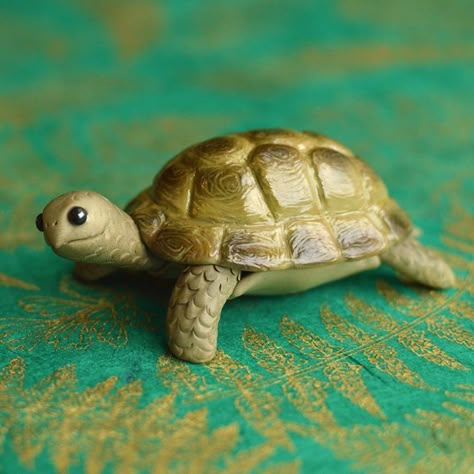 Polymer Clay Tortoise, Ceramic Turtle Sculpture, Ceramic Tortoise, Clay Tortoise, Clay Turtle, Cute Tortoise, Ceramic Turtle, Clay Box, Turtle Sculpture