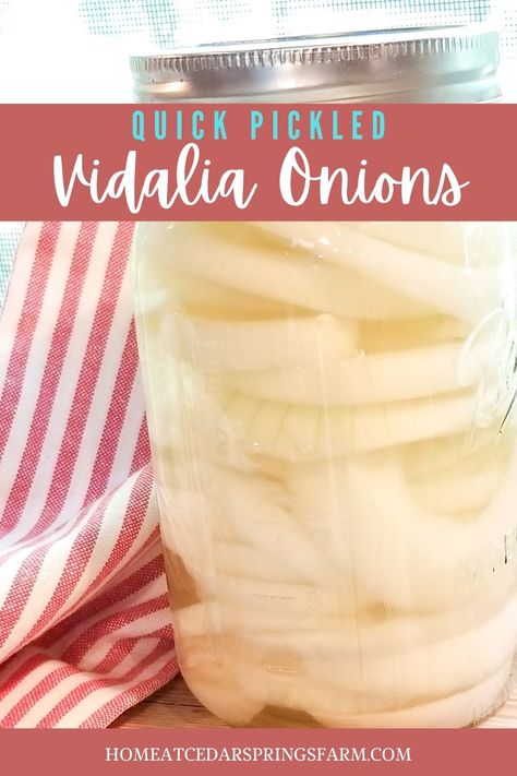 What To Use Pickled Onions On, Easy Pickled Onions Recipe, Homemade Pickled Onions, Top Of The River Pickled Onions Recipe, Refrigerator Pickled Onions, Pickles Onions Recipe, Canning Onions Recipes, Pickled Vidalia Onions Recipe, Canning Pickled Onions