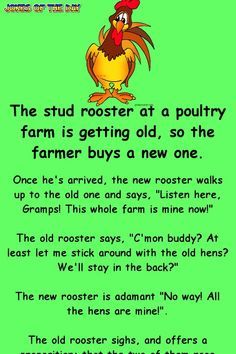 The stud rooster at a poultry farm is getting old, so the farmer buys a new one Chicken Funny Humor, Farmer Jokes, Farm Jokes, Chicken Jokes, Getting Older Humor, Farm Humor, Minion Memes, Sock Bunny, Clean Funny