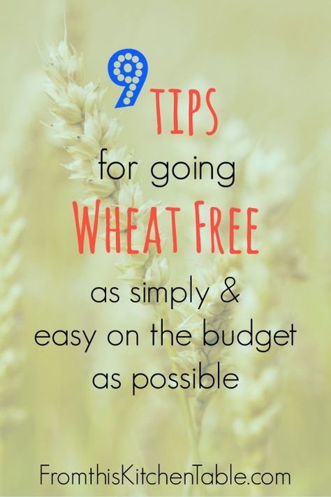 Great (and easy) tips for going wheat free! Make the transition easy on your budget and your family! Essen, Wheat Belly Diet, Wheat Belly Recipes, Wheat Free Diet, Wheat Belly, Going Gluten Free, Wheat Free Recipes, Gluten Free Living, Foods With Gluten