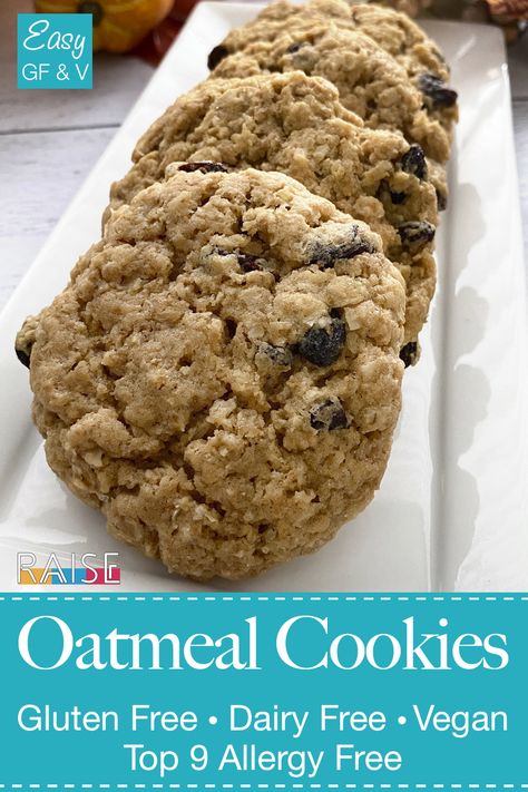 Eoe Recipes Allergy Free, Allergen Free Cookies, Top 9 Allergy Free Recipes, Top 8 Allergy Free Recipes, Eoe Recipes, Allergy Free Cookies, Chewy Oatmeal Cookies Recipe, Allergy Friendly Cookies, Allergy Friendly Desserts