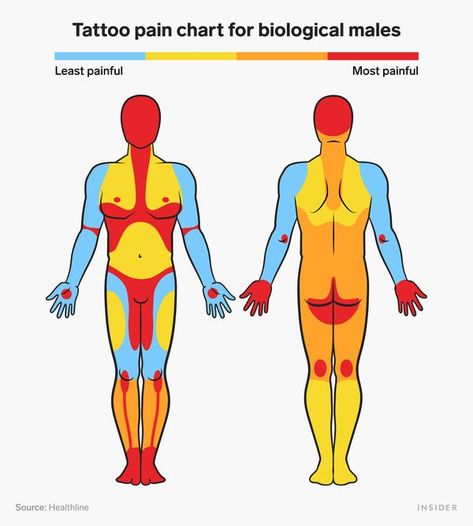 Least Painful Tattoo Spots, Least Painful Tattoo, Small Hidden Tattoos, Doe Tattoo, Pain Chart, Places To Get Tattoos, Tattoo Spots, Lion Tattoo Design, Thick Skin