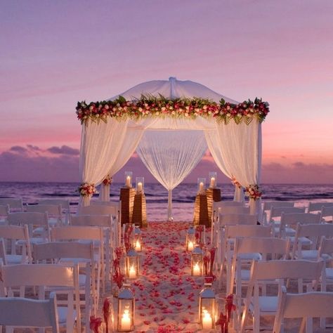 Tangled Beach Wedding, Beach Alter, Night Beach Weddings, Beach Wedding Setup, Beach Wedding Aisles, Photography Rates, Sunset Beach Weddings, Wedding Setup, Dream Beach Wedding