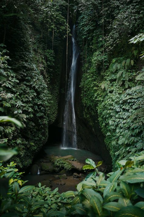 Leke Leke Waterfall Flowing in the Jungle, Bali, Indonesia is one of the Nusa Penida in Bali, Indonesia is one of the best Hidden Gems in Bali that you need to visit on your next trip to Indonesia in Bali that you need to visit on your next trip to Indonesia Living My Dream Life, Waterfall Bali, Bali Waterfalls, My Dream Life, Family Vacations For Adults, Popular Travel Destinations, Plitvice Lakes National Park, Nusa Penida, Exotic Holiday