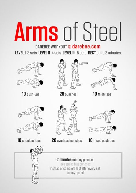 15 Super Easy Workouts To Tone Your Arms At Home - Arm Workouts At Home, Workout Man, Fitness Jobs, Trening Sztuk Walki, Fitness Career, Arm Workouts, Nutrition Sportive, Musa Fitness, Planet Fitness