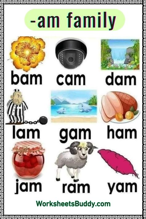 Build Literacy Skills with AM Word Family Worksheets Am Word Family, Am Words, Alphabet Word Wall Cards, Cvc Phonics, Kindergarten Word Families, Remedial Reading, Family Worksheets, Reading Comprehension For Kids, Family Word