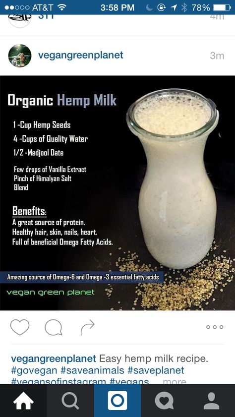 Hemp milk Hemp Milk Benefits, Hemp Seed Milk, Milk Benefits, Hemp Milk, Dr Sebi, Organic Milk, Milk And Cheese, Medjool Dates, Alkaline Diet