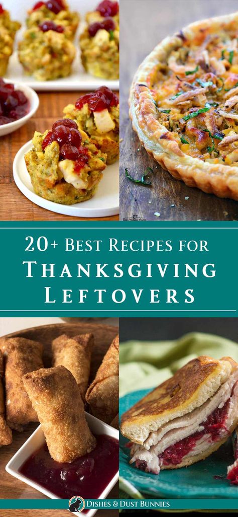 Thanksgiving Leftovers Recipes, Leftover Thanksgiving, Thanksgiving Leftover Recipes, Thanksgiving Leftover, Holiday Leftovers, Thanksgiving Appetizer Recipes, Leftover Recipes, Dust Bunnies, Recipes For Thanksgiving