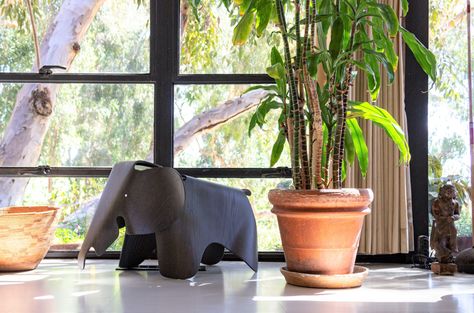 Eames Elephant, Eames House Bird, Home Objects, Eames House, Eames Office, Irish Terrier, 75th Birthday, Charles & Ray Eames, Grey Stain