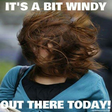 It's a bit windy out here today Windy Hair, Wind Quote, Hair Quotes Funny, Weather Memes, Funny Weather, Hair In The Wind, Windy Weather, Hair Quotes, Teacher Memes